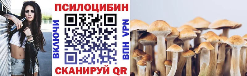 Псилоцибиновые грибы Magic Shrooms Мариинск
